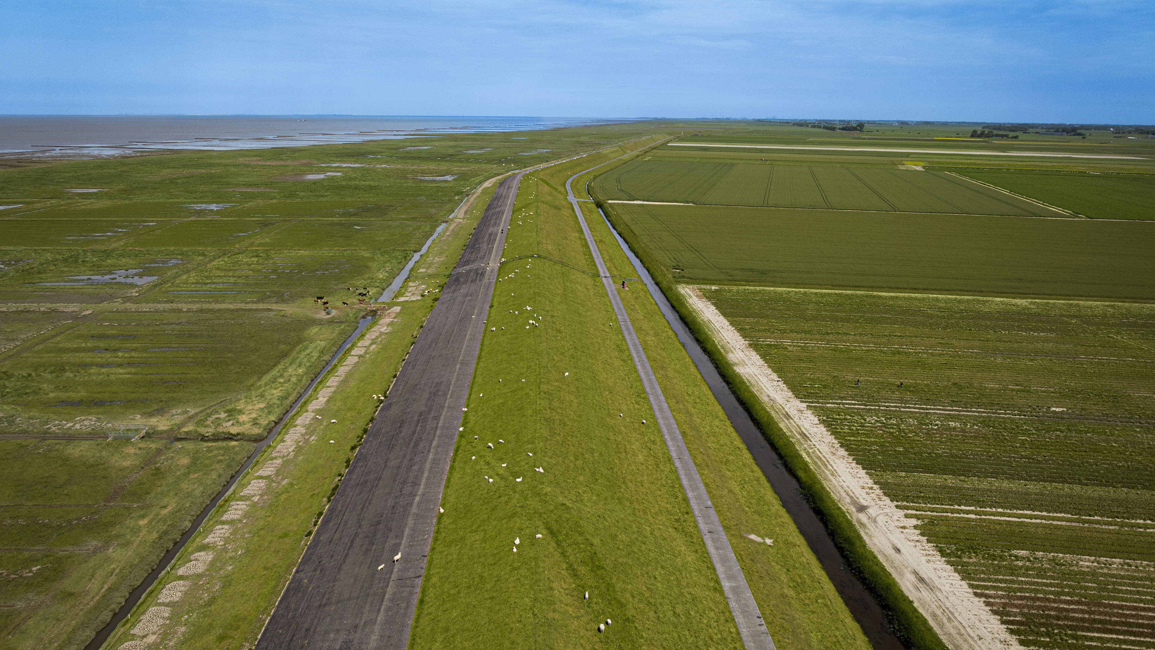 Nieuw plan voor stroomkabel in Noord-Groningen: niet door boerenland, maar langs zeedijk